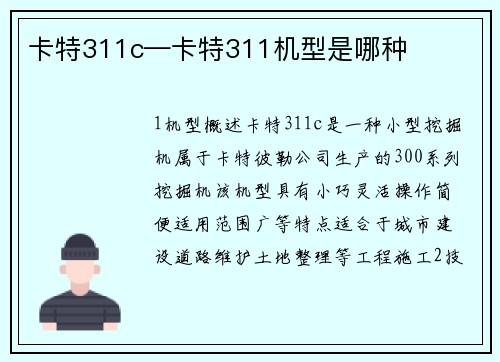 卡特311c—卡特311机型是哪种