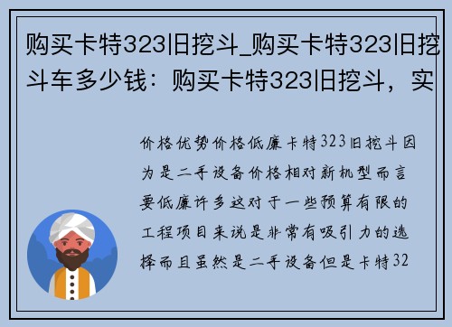 购买卡特323旧挖斗_购买卡特323旧挖斗车多少钱：购买卡特323旧挖斗，实惠又实用